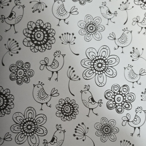 Set of Two Adult Coloring Books - The Menagerie and Magic Garden - Picture 11 of 16